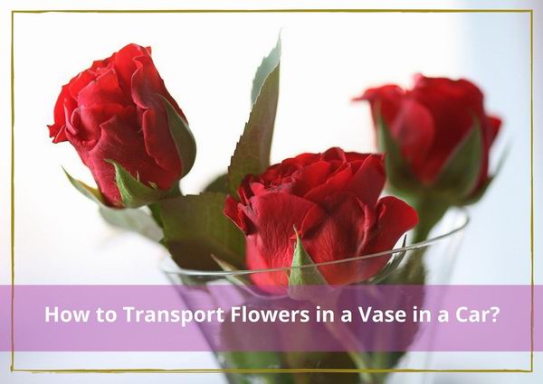 how to transport flowers in a vase in a car