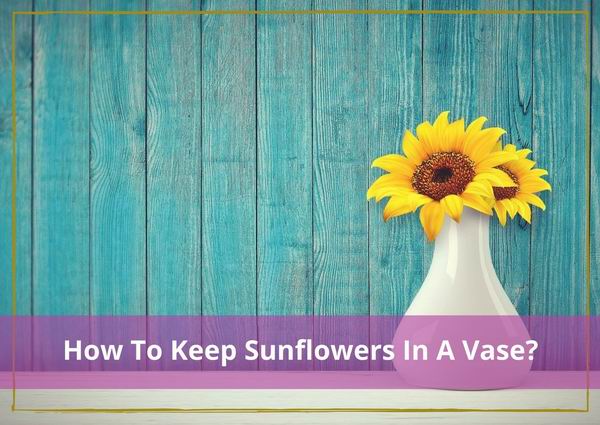 how to keep sunflowers in a vase