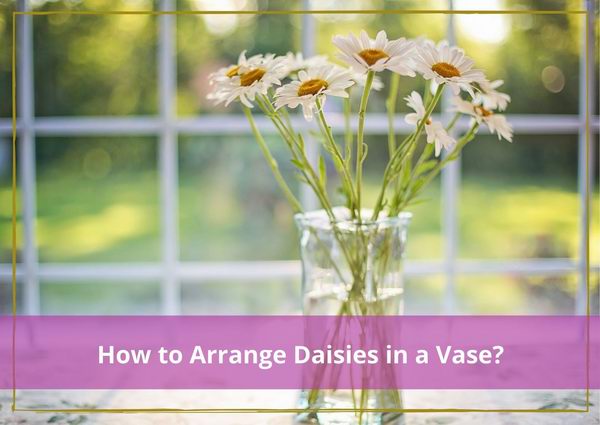 how to arrange daisies in a vase